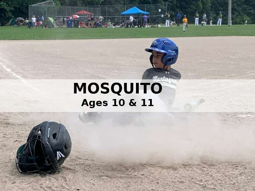 mosquito faq revised